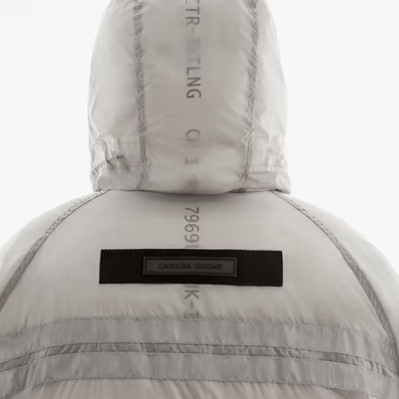 Canada goose chilliwack - Picture 3 of 5